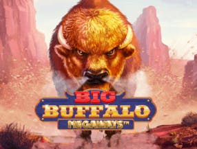 game logo by Skywind Group on mega-richescasino.uk.com