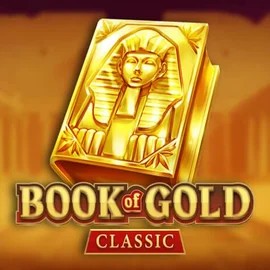 game logo by Playson on mega-richescasino.uk.com