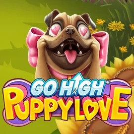 game logo by RubyPlay on mega-richescasino.uk.com
